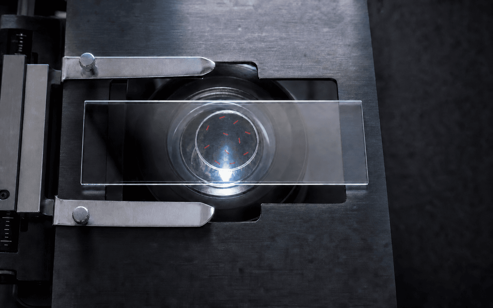 Principle illustration: an overhead microscope stage with a strongly optically cleared circular membrane and red targets retained on its surface